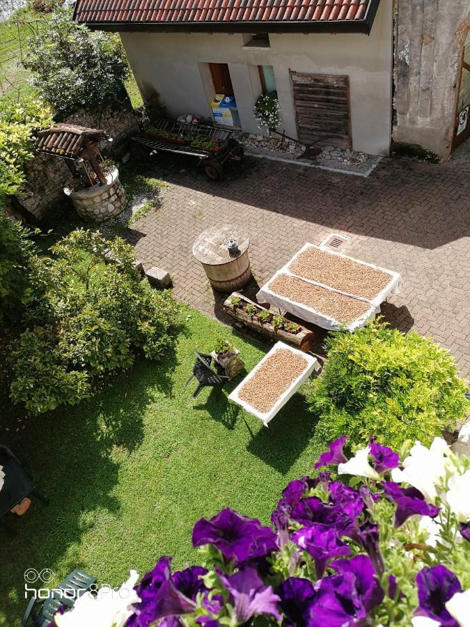 Agriturismo Antica Pieve Limana Bagian luar foto